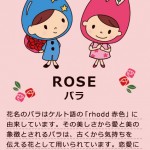 ばるふらお花辞典 -第1回 バラ ROSE-