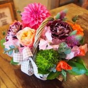 女性用 誕生日祝い 女性用 誕生日祝い