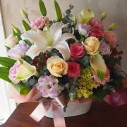 女性用 結婚記念日の御祝い 女性用 結婚記念日の御祝い