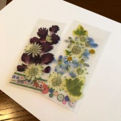 本好きの姪に 押し花でしおりを作ってみました。